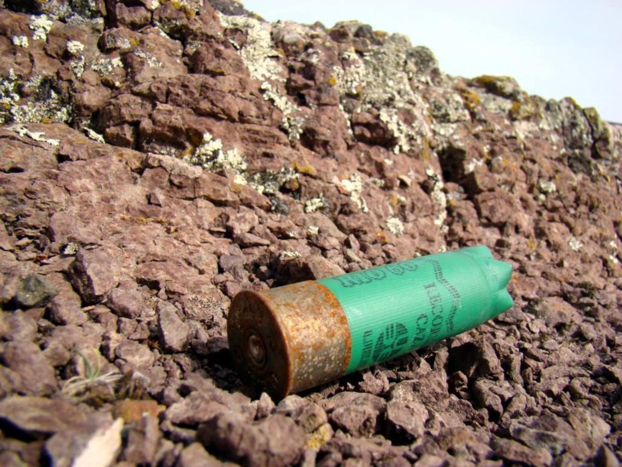 Cartucho de caza ©Ecologistas en Acción